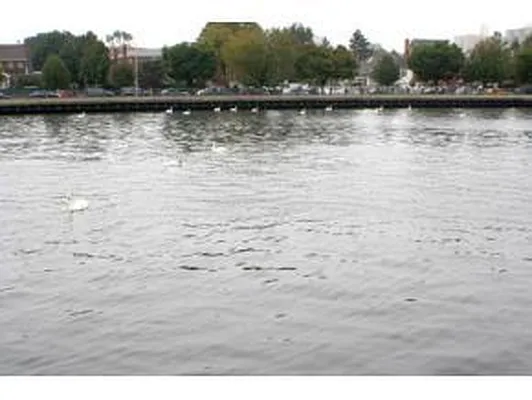 Sold by Superior Realty Service | media 8