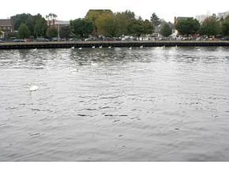 Sold by Superior Realty Service