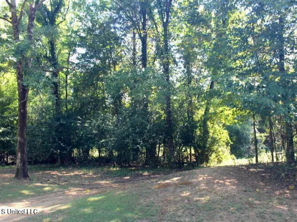 145 Annandale Golf Club Dr, Madison, MS 39110