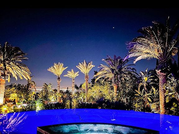 Gorgeous Backyard View