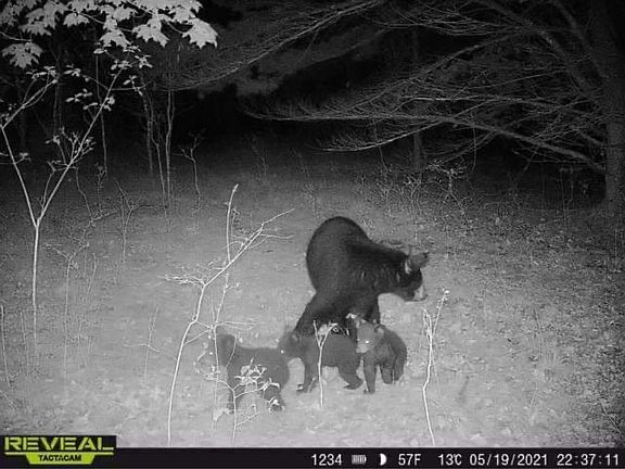 2nd image of N6498 12th Ave