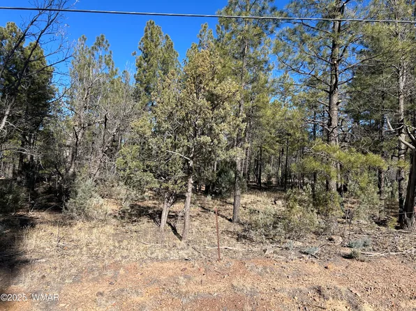 NULLY Hilltop Ln, Lakeside, AZ 85929