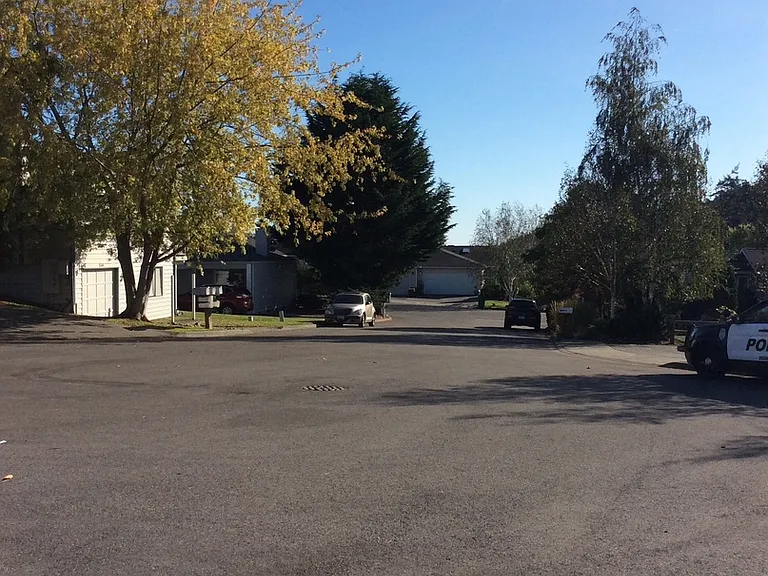 1511 Burrows Ct — Photo 23