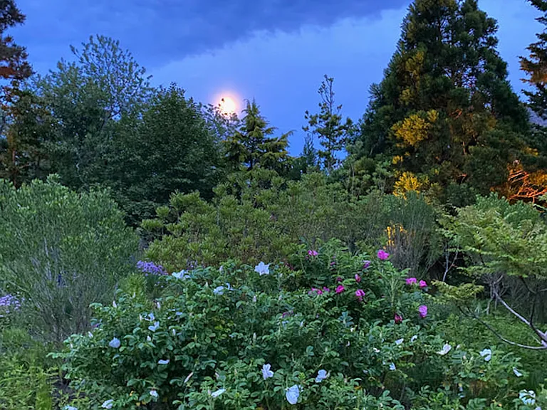 Briar Patch Rd — Photo 41