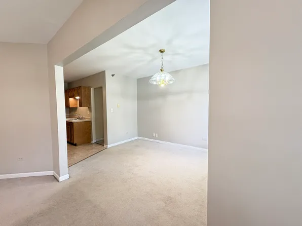 307 W Jackson St APT 2A, Woodstock, IL 60098