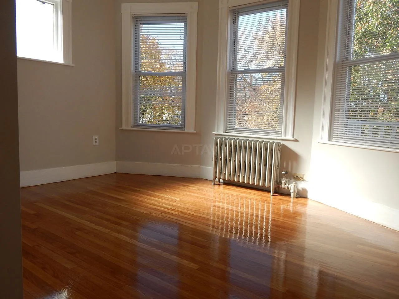 3 bed, 2.0 bath, $3,600 — Photo 2