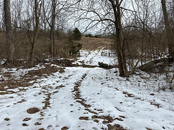 4th image of 47 Club Rd