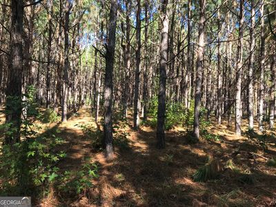 0 Edwards Loop, Clyo, GA, 31303