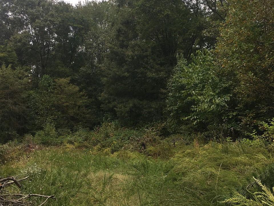 2nd image of 0 Village Dr