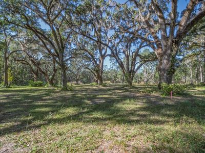 Xx Coastal Hwy, Crawfordville, FL, 32327