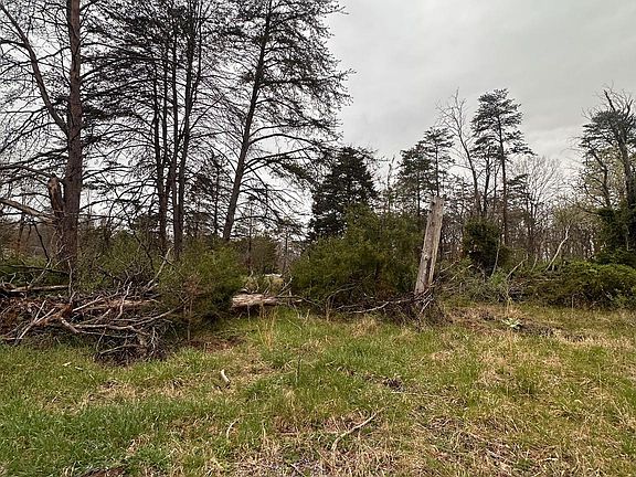 2nd image of 155 Budding Dogwood Rd