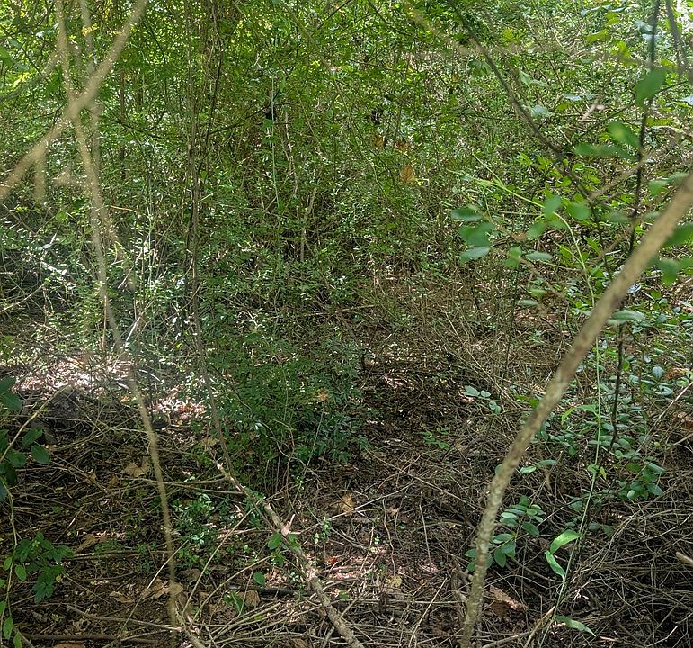 2nd image of 0 County Road 3419