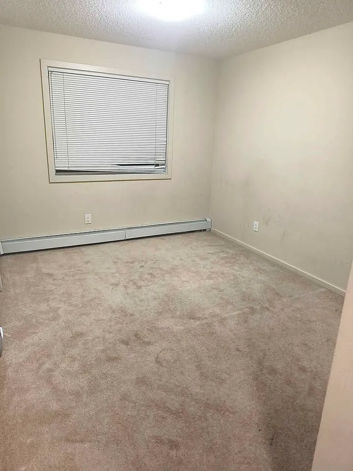 2 bed, 800 sqft, $1,650 — Photo 3