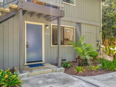 4087 Murray Cmn, Fremont, CA, 94538