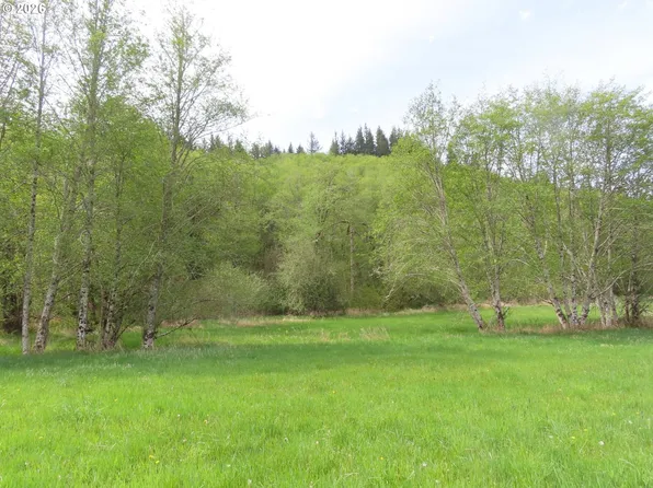 Hagen Rd, Mossyrock, WA 98564