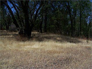 1st image of 16840 Elder Creek Cir