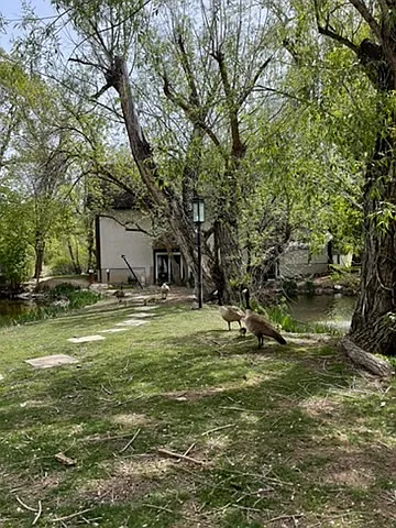 5553 S Willow Ln #A — Photo 14
