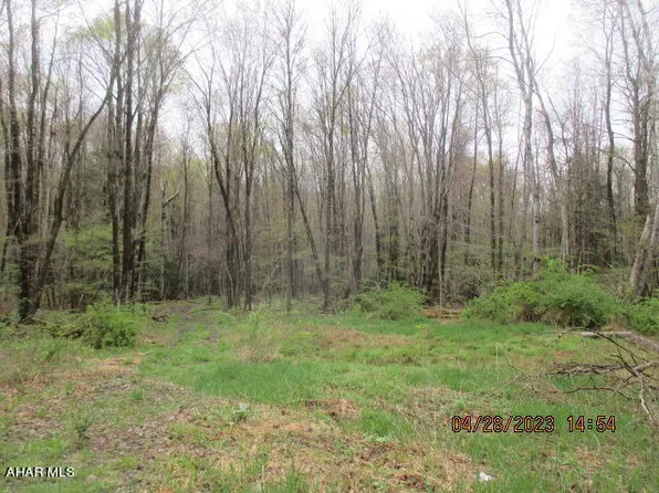 0 Spring & Yosts Rd, Nicktown, PA 15762