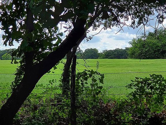 Create your dream driveway/gate