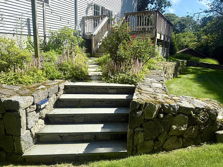 back steps