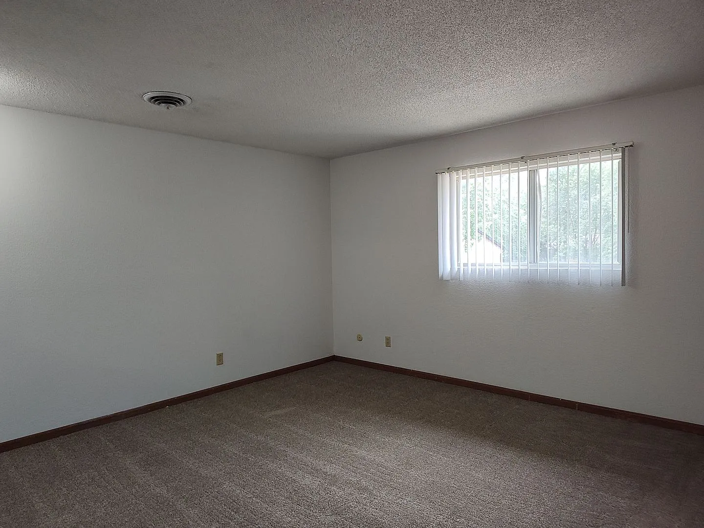 Boxwood 622 — Photo 2