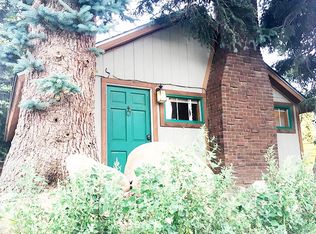 155 E 2nd St, Nederland, CO 80466