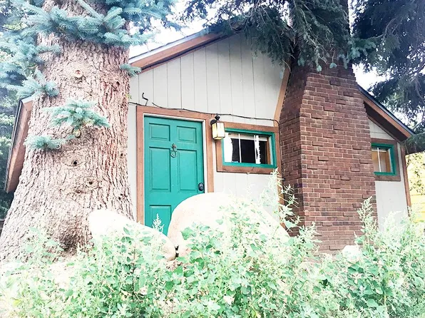 155 E 2nd St, Nederland, CO 80466