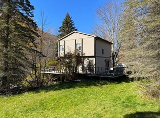 4937 Carcass Brook Rd, East Branch, NY 13756