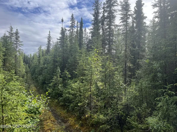 36295 Ansel St N, Soldotna, AK 99669