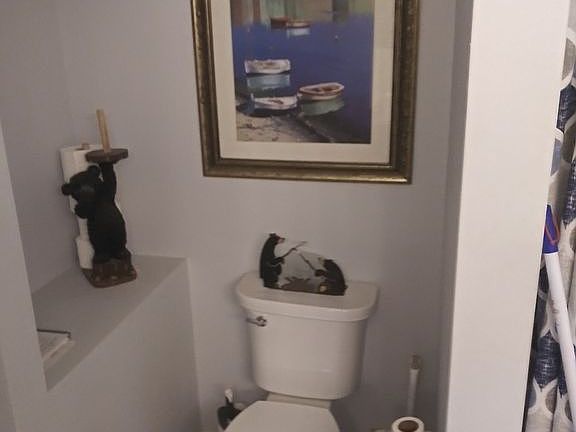 remodeled bathroom 3