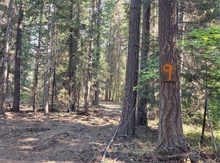 9 Double O Rd, Ronald, WA 98940