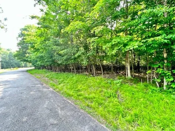 0 Big Wolf Island Lot 66, Hayward, WI 54843