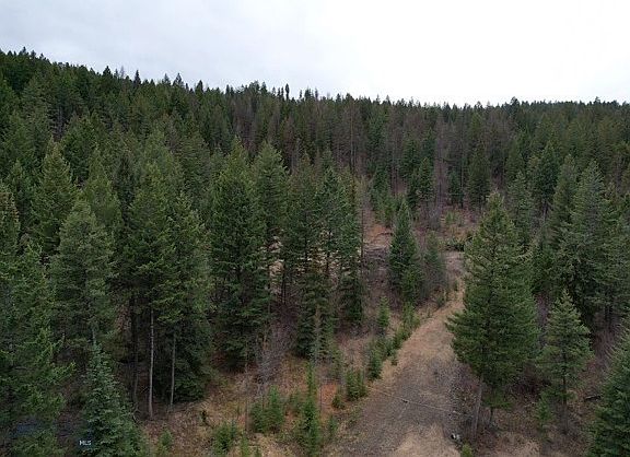 4th image of Nhn Bent Pine Ln