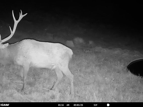 3rd image of 206 Echo Canyon Rd