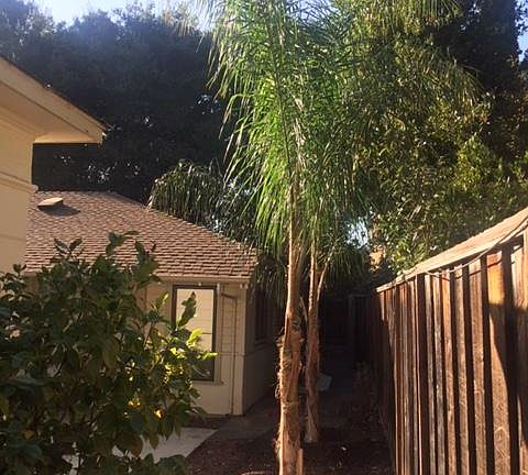 Entrance - Palms