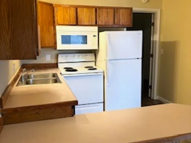 1736 Hitching Post Ln — Photo 19