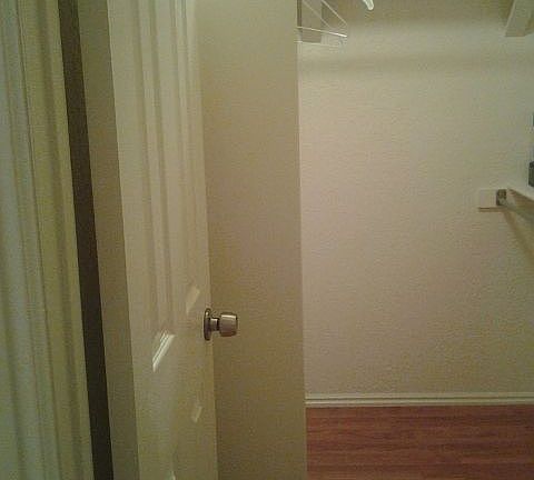 Master Walk in Closet