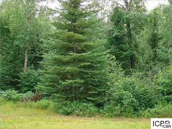 4th image of 18385 County Road 8