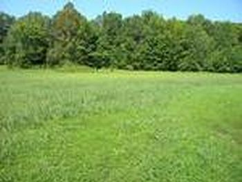 Photo of Mobile Home Lot