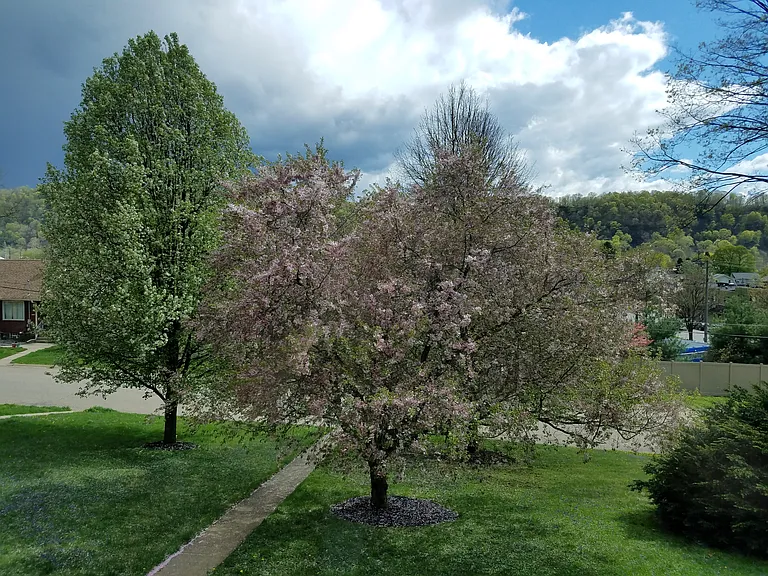 202 N Highland Ave #4 — Photo 17