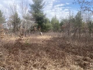 5th image of 249XX N Gile Rd
