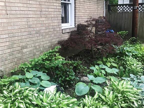 5th image of 384 Greenwood Ave