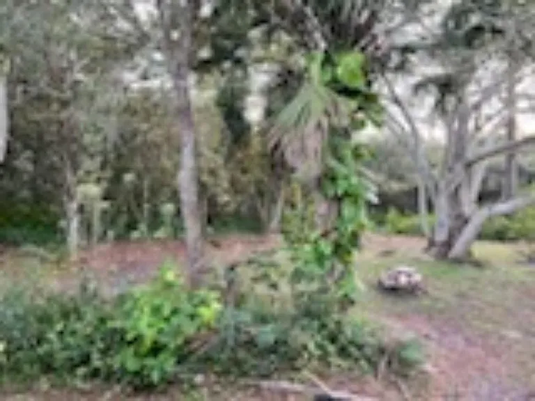 2181 Columbia Blvd #D — Photo 12