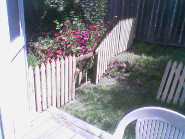 Fence being built - backyard