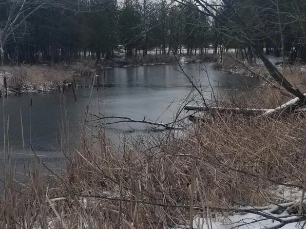 Lot 119 Long Point, Germfask, MI 49836