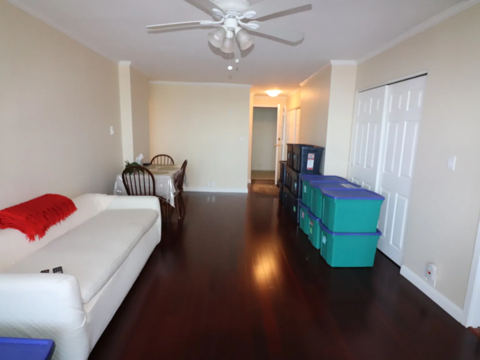 1 bed, 1.0 bath, 567 sqft, $3,000 — Photo 2