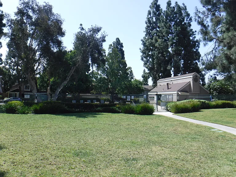 Community Pool and Park