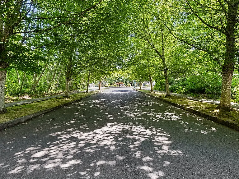 Yauger Park — Photo 25