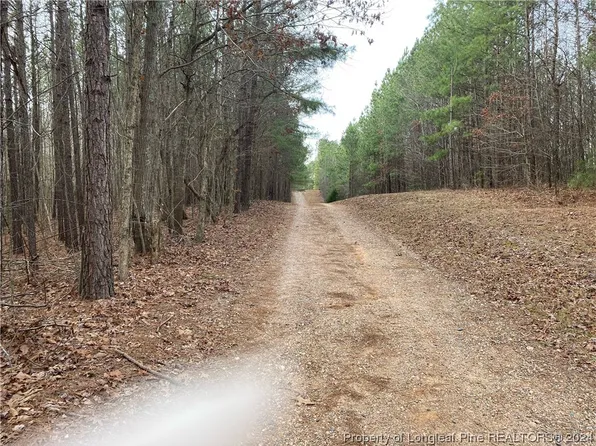 Lick Creek Rd, Sanford, NC 27330