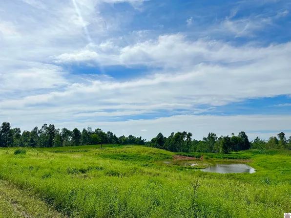 0 Ted Embry Rd #295, Kuttawa, KY 42055